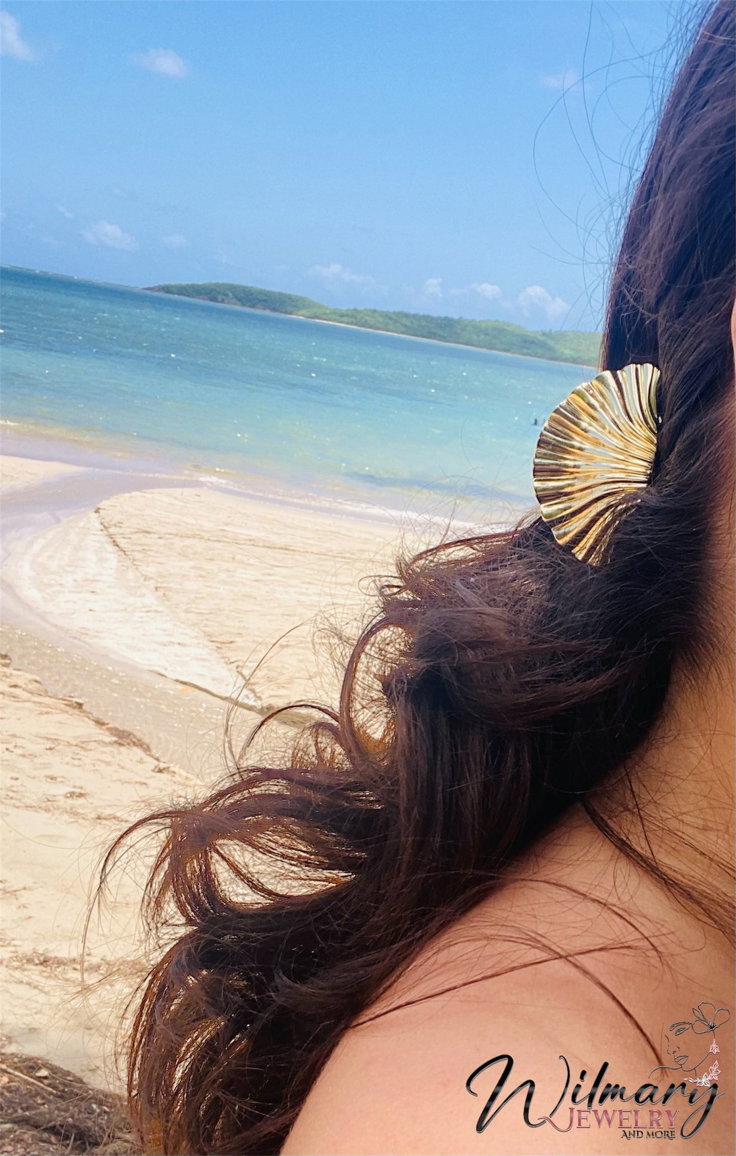 Clam hair clip