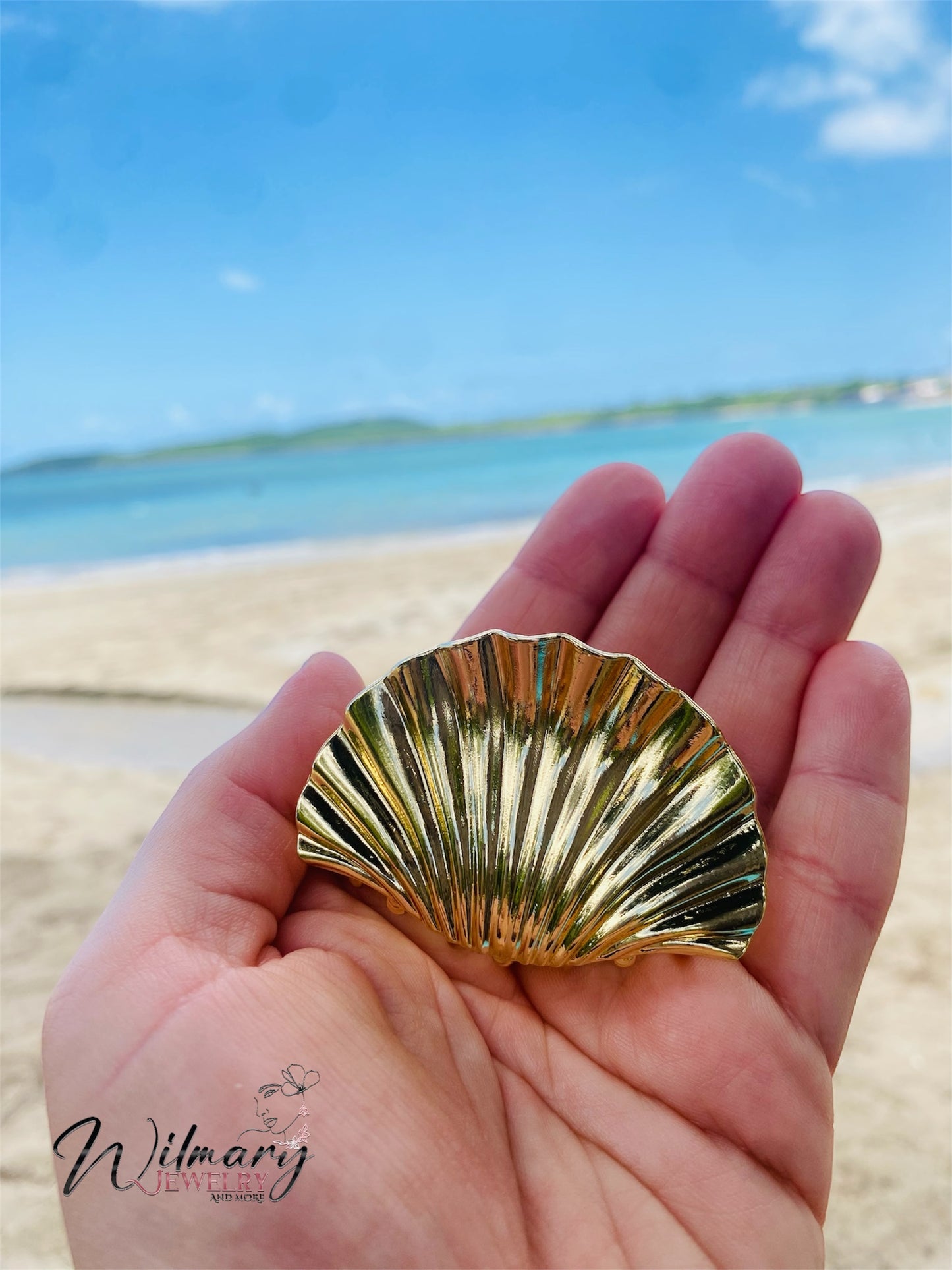 Clam hair clip